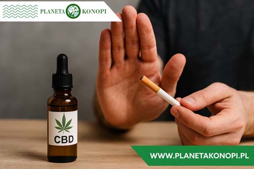 CBD w terapii uzależnień – nowe nadzieje czy mit?