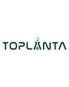 Toplanta