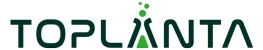 Toplanta